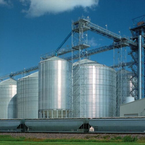 Grain